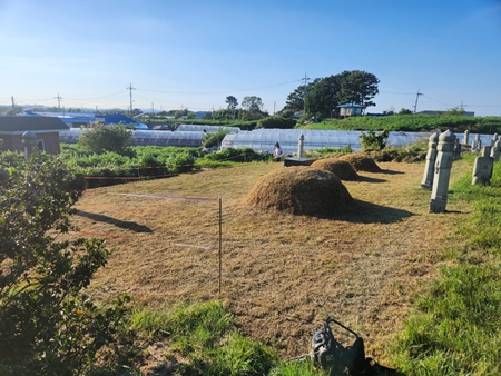 놀뫼장의사 PC 이미지 6110084