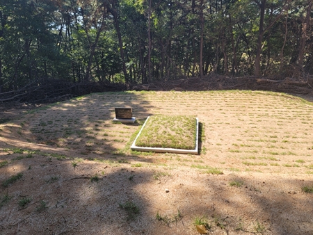 놀뫼장의사 PC 이미지 6110081