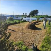 옥천묘지관리-6110084